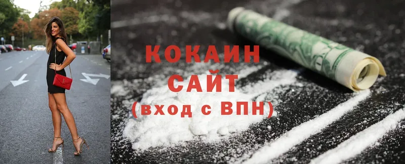 Cocaine Fish Scale  как найти закладки  Пудож 